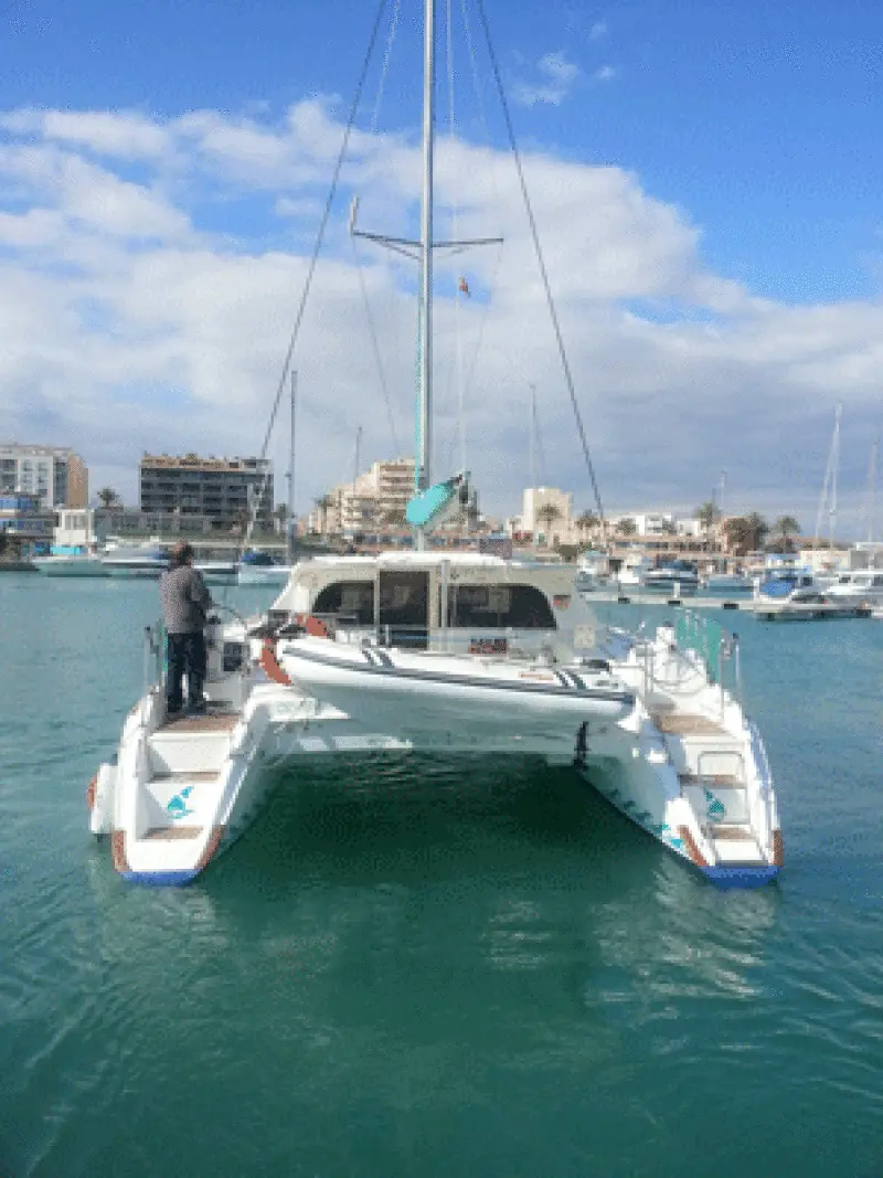 MINI-29 engine installed in Nautitech 40 catamaran — изображение 2