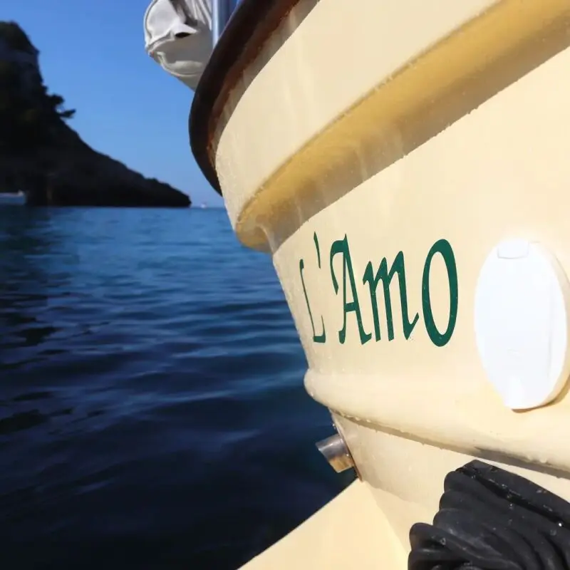 Llaüt repowering with MINI-55 engine — изображение 3